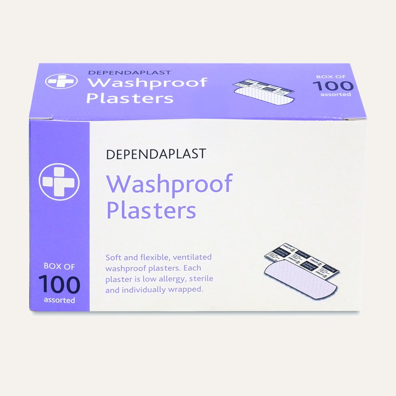 948_Wash_Plasters