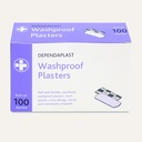 948_Wash_Plasters