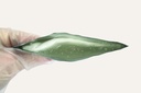 5922_CT_Contents