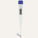 841_Thermometer