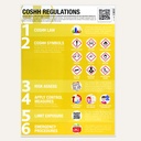 Laminated Guidance Poster, 420mm x 594mm, COSHH Symbols & Regulations