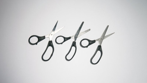 Medisnip Stainless Steel Scissors, Plastic Handle